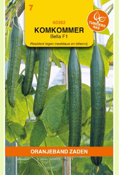 Cucumber Bella F1 (Cucumis) 7 seeds